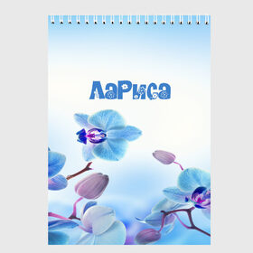 Скетчбук с принтом Лариса в Новосибирске, 100% бумага
 | 48 листов, плотность листов — 100 г/м2, плотность картонной обложки — 250 г/м2. Листы скреплены сверху удобной пружинной спиралью | flower | name | spring | букет | весна | имена | имя | лариса | природа | узор | цветочный | цветы