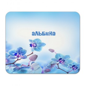Коврик прямоугольный с принтом Альбина в Новосибирске, натуральный каучук | размер 230 х 185 мм; запечатка лицевой стороны | flower | name | spring | альбина | букет | весна | имена | имя | природа | узор | цветочный | цветы