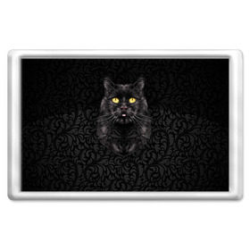 Магнит 45*70 с принтом Чёрный котик в Новосибирске, Пластик | Размер: 78*52 мм; Размер печати: 70*45 | Тематика изображения на принте: кошка | чёрная