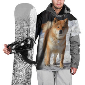Накидка на куртку 3D с принтом Акита-ину в Новосибирске, 100% полиэстер |  | акита | животное | животные | ину | овчарка | пес | песик | псы | сиба | собака | собаки | шиба
