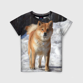 Детская футболка 3D с принтом Акита-ину в Новосибирске, 100% гипоаллергенный полиэфир | прямой крой, круглый вырез горловины, длина до линии бедер, чуть спущенное плечо, ткань немного тянется | акита | животное | животные | ину | овчарка | пес | песик | псы | сиба | собака | собаки | шиба