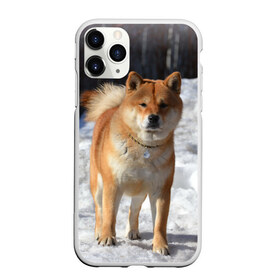 Чехол для iPhone 11 Pro матовый с принтом Акита-ину в Новосибирске, Силикон |  | Тематика изображения на принте: акита | животное | животные | ину | овчарка | пес | песик | псы | сиба | собака | собаки | шиба