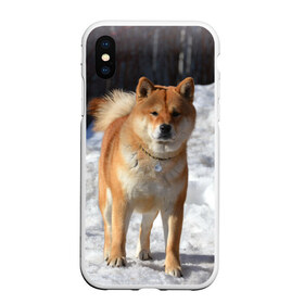 Чехол для iPhone XS Max матовый с принтом Акита-ину в Новосибирске, Силикон | Область печати: задняя сторона чехла, без боковых панелей | Тематика изображения на принте: акита | животное | животные | ину | овчарка | пес | песик | псы | сиба | собака | собаки | шиба