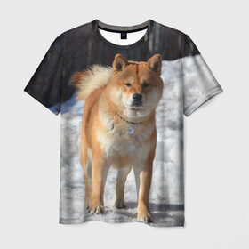 Мужская футболка 3D с принтом Акита-ину в Новосибирске, 100% полиэфир | прямой крой, круглый вырез горловины, длина до линии бедер | Тематика изображения на принте: акита | животное | животные | ину | овчарка | пес | песик | псы | сиба | собака | собаки | шиба