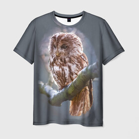 Мужская футболка 3D с принтом Сова в Новосибирске, 100% полиэфир | прямой крой, круглый вырез горловины, длина до линии бедер | owl | ветка | ночной хищник | птица | птичка | серый | сова | хищная птица | хищник
