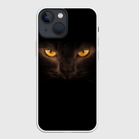 Чехол для iPhone 13 mini с принтом Кошачий Взгляд в Новосибирске,  |  | глаза | желтый | кот | котейка | котенок | котик | котя | кошка | усатый
