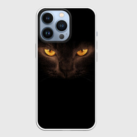 Чехол для iPhone 13 Pro с принтом Кошачий Взгляд в Новосибирске,  |  | глаза | желтый | кот | котейка | котенок | котик | котя | кошка | усатый