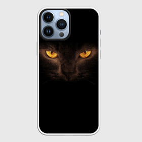 Чехол для iPhone 13 Pro Max с принтом Кошачий Взгляд в Новосибирске,  |  | глаза | желтый | кот | котейка | котенок | котик | котя | кошка | усатый