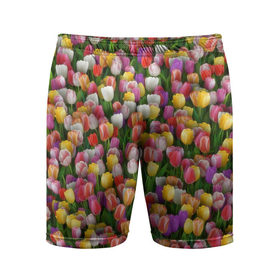Мужские шорты 3D спортивные с принтом Разноцветные тюльпаны в Новосибирске,  |  | Тематика изображения на принте: 8 марта | tulip | белый | букет | желтый | зеленый | красный | паттерн | розовый | тюльпан | тюльпанчики | цветок | цветочки | цветы