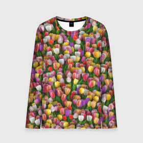 Мужской лонгслив 3D с принтом Разноцветные тюльпаны в Новосибирске, 100% полиэстер | длинные рукава, круглый вырез горловины, полуприлегающий силуэт | Тематика изображения на принте: 8 марта | tulip | белый | букет | желтый | зеленый | красный | паттерн | розовый | тюльпан | тюльпанчики | цветок | цветочки | цветы