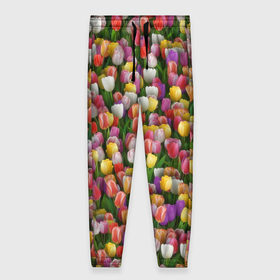 Женские брюки 3D с принтом Разноцветные тюльпаны в Новосибирске, полиэстер 100% | прямой крой, два кармана без застежек по бокам, с мягкой трикотажной резинкой на поясе и по низу штанин. В поясе для дополнительного комфорта — широкие завязки | 8 марта | tulip | белый | букет | желтый | зеленый | красный | паттерн | розовый | тюльпан | тюльпанчики | цветок | цветочки | цветы