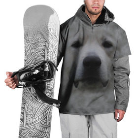 Накидка на куртку 3D с принтом Лабрадор в Новосибирске, 100% полиэстер |  | голова | животные | лабрадор | пес | природа | собака | собачка | щенок
