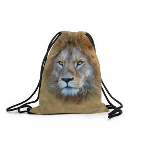Рюкзак-мешок 3D с принтом Лев в Новосибирске, 100% полиэстер | плотность ткани — 200 г/м2, размер — 35 х 45 см; лямки — толстые шнурки, застежка на шнуровке, без карманов и подкладки | голова | животные | кошка | лев | львица | природа | хищник