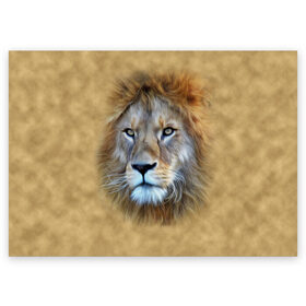 Поздравительная открытка с принтом Лев в Новосибирске, 100% бумага | плотность бумаги 280 г/м2, матовая, на обратной стороне линовка и место для марки
 | Тематика изображения на принте: голова | животные | кошка | лев | львица | природа | хищник