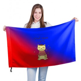 Флаг 3D с принтом Нужен еще котик в Новосибирске, 100% полиэстер | плотность ткани — 95 г/м2, размер — 67 х 109 см. Принт наносится с одной стороны | cat | взгляд | кот | кот хипстер | котёнок | котятки | котятушки | кошечки | кошка | мордочка