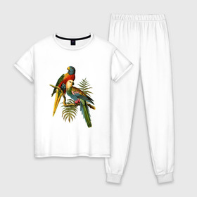 Женская пижама хлопок с принтом Попугаи в Новосибирске, 100% хлопок | брюки и футболка прямого кроя, без карманов, на брюках мягкая резинка на поясе и по низу штанин | Тематика изображения на принте: ветки | винтаж | листья | пальмы | перья | попугаи | птицы