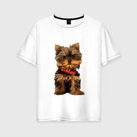 Женская футболка хлопок Oversize с принтом Нарисованный йорк в Новосибирске, 100% хлопок | свободный крой, круглый ворот, спущенный рукав, длина до линии бедер
 | йорк | йоркширский терьер | нарисованная собака | собаки