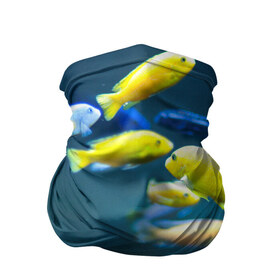 Бандана-труба 3D с принтом Рыбки в Новосибирске, 100% полиэстер, ткань с особыми свойствами — Activecool | плотность 150‒180 г/м2; хорошо тянется, но сохраняет форму | fish | fishes | pisces | море | морские обитатели | морской | океан | рыбы