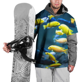 Накидка на куртку 3D с принтом Рыбки в Новосибирске, 100% полиэстер |  | fish | fishes | pisces | море | морские обитатели | морской | океан | рыбы