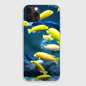 Чехол для iPhone 12 Pro Max с принтом Рыбки в Новосибирске, Силикон |  | fish | fishes | pisces | море | морские обитатели | морской | океан | рыбы