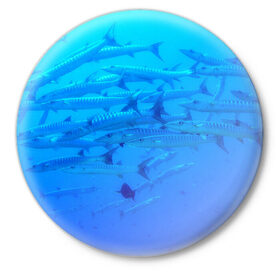 Значок с принтом Морская фауна в Новосибирске,  металл | круглая форма, металлическая застежка в виде булавки | Тематика изображения на принте: fish | fishes | pisces | море | морские обитатели | морской | океан | рыбы