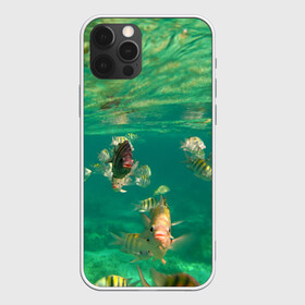Чехол для iPhone 12 Pro с принтом abyssal fishes в Новосибирске, силикон | область печати: задняя сторона чехла, без боковых панелей | fish | fishes | pisces | море | морские обитатели | морской | океан | рыбы