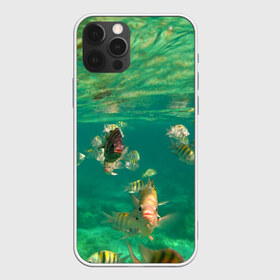 Чехол для iPhone 12 Pro Max с принтом abyssal fishes в Новосибирске, Силикон |  | fish | fishes | pisces | море | морские обитатели | морской | океан | рыбы