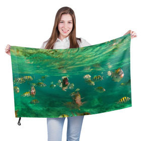 Флаг 3D с принтом abyssal fishes в Новосибирске, 100% полиэстер | плотность ткани — 95 г/м2, размер — 67 х 109 см. Принт наносится с одной стороны | fish | fishes | pisces | море | морские обитатели | морской | океан | рыбы