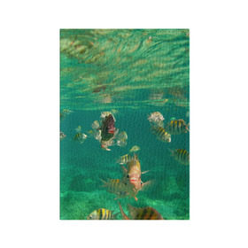 Обложка для паспорта матовая кожа с принтом abyssal fishes в Новосибирске, натуральная матовая кожа | размер 19,3 х 13,7 см; прозрачные пластиковые крепления | Тематика изображения на принте: fish | fishes | pisces | море | морские обитатели | морской | океан | рыбы