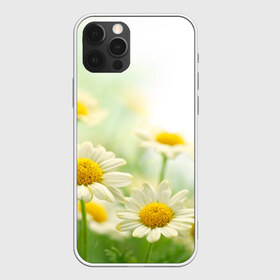 Чехол для iPhone 12 Pro Max с принтом Полевые ромашки в Новосибирске, Силикон |  | Тематика изображения на принте: луг | поле | цветы