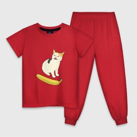 Детская пижама хлопок с принтом Cat no banana в Новосибирске, 100% хлопок |  брюки и футболка прямого кроя, без карманов, на брюках мягкая резинка на поясе и по низу штанин
 | angry cat | banana | cat | no banana