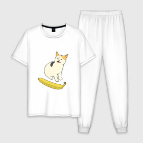Мужская пижама хлопок с принтом Cat no banana в Новосибирске, 100% хлопок | брюки и футболка прямого кроя, без карманов, на брюках мягкая резинка на поясе и по низу штанин
 | angry cat | banana | cat | no banana