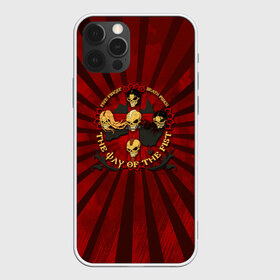 Чехол для iPhone 12 Pro Max с принтом 5FDP в Новосибирске, Силикон |  | Тематика изображения на принте: 5fdp | ffdp | five finger death punch