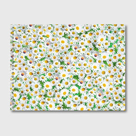 Альбом для рисования с принтом Ромашки в Новосибирске, 100% бумага
 | матовая бумага, плотность 200 мг. | chamomile | daisies | flowers | nature | природа | растения | ромашки | текстура | цветы