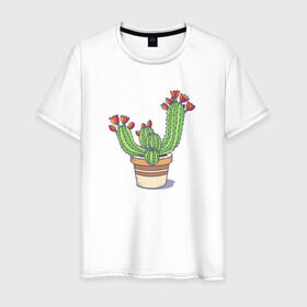 Мужская футболка хлопок с принтом Кактус в Новосибирске, 100% хлопок | прямой крой, круглый вырез горловины, длина до линии бедер, слегка спущенное плечо. | горшок | растение | цветет | цветок