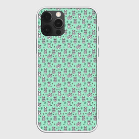Чехол для iPhone 12 Pro Max с принтом Енотики в Новосибирске, Силикон |  | cute | raccoon | в полоску | енот | енотик | лес | лесной | милый | осенний | полосатый
