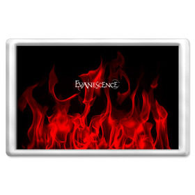 Магнит 45*70 с принтом Evanescence в Новосибирске, Пластик | Размер: 78*52 мм; Размер печати: 70*45 | evanescence | punk | rock | альтернативный хип хоп | группа | инди поп | музыка | музыкальное произведение | ноты | панк | регги | рок | синти поп