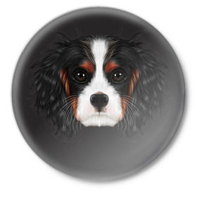 Значок с принтом Cavalier King Charles в Новосибирске,  металл | круглая форма, металлическая застежка в виде булавки | голова | собака | спаниель