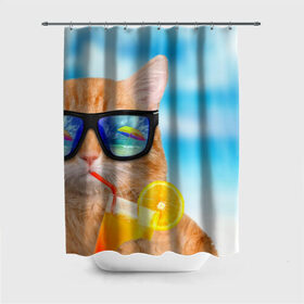 Штора 3D для ванной с принтом Кот на пляже в Новосибирске, 100% полиэстер | плотность материала — 100 г/м2. Стандартный размер — 146 см х 180 см. По верхнему краю — пластиковые люверсы для креплений. В комплекте 10 пластиковых колец | summer | апельсиновый сок | кот | кот на пляже | коте | котик | котэ | котяра | лето | море | небо | отдых | очки | пляже