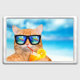 Магнит 45*70 с принтом Кот на пляже в Новосибирске, Пластик | Размер: 78*52 мм; Размер печати: 70*45 | Тематика изображения на принте: summer | апельсиновый сок | кот | кот на пляже | коте | котик | котэ | котяра | лето | море | небо | отдых | очки | пляже