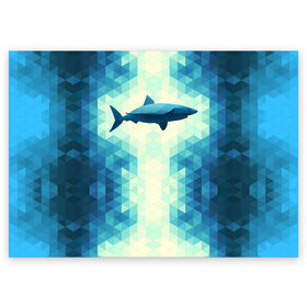Поздравительная открытка с принтом Акула в Новосибирске, 100% бумага | плотность бумаги 280 г/м2, матовая, на обратной стороне линовка и место для марки
 | Тематика изображения на принте: shark | водолаз | гарпун | глубина | дельфин | злость | зубы | кит | кровь | курорт | лето | море | океан | отдых | охота | плавник | пляж | риф | рыба | хищник | челюсти | челюсть