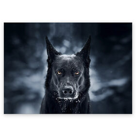 Поздравительная открытка с принтом Dark Dog в Новосибирске, 100% бумага | плотность бумаги 280 г/м2, матовая, на обратной стороне линовка и место для марки
 | пес | собака