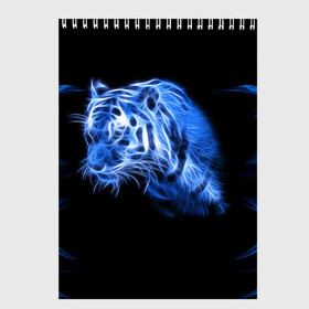 Скетчбук с принтом Синий тигр в Новосибирске, 100% бумага
 | 48 листов, плотность листов — 100 г/м2, плотность картонной обложки — 250 г/м2. Листы скреплены сверху удобной пружинной спиралью | tiger | большая кошка | огонь | пламя | тигр | хищник