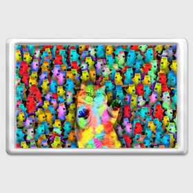 Магнит 45*70 с принтом Котики на дискотеке в Новосибирске, Пластик | Размер: 78*52 мм; Размер печати: 70*45 | кошки | паттерн | психоделика | разноцветный | яркий
