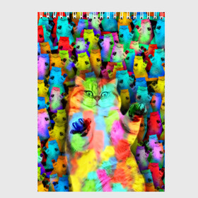 Скетчбук с принтом Котики на дискотеке в Новосибирске, 100% бумага
 | 48 листов, плотность листов — 100 г/м2, плотность картонной обложки — 250 г/м2. Листы скреплены сверху удобной пружинной спиралью | Тематика изображения на принте: кошки | паттерн | психоделика | разноцветный | яркий