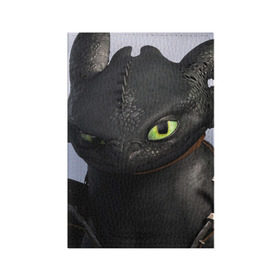 Обложка для паспорта матовая кожа с принтом как приручить дракона в Новосибирске, натуральная матовая кожа | размер 19,3 х 13,7 см; прозрачные пластиковые крепления | how to train your dragon | беззубик | дракон | как приручить дракона | ночная фурия