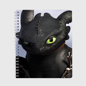 Тетрадь с принтом как приручить дракона в Новосибирске, 100% бумага | 48 листов, плотность листов — 60 г/м2, плотность картонной обложки — 250 г/м2. Листы скреплены сбоку удобной пружинной спиралью. Уголки страниц и обложки скругленные. Цвет линий — светло-серый
 | how to train your dragon | беззубик | дракон | как приручить дракона | ночная фурия