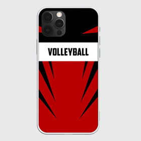 Чехол для iPhone 12 Pro Max с принтом Volleyball в Новосибирске, Силикон |  | sport | volleyball | волейбол | спорт