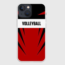 Чехол для iPhone 13 mini с принтом Volleyball в Новосибирске,  |  | sport | volleyball | волейбол | спорт