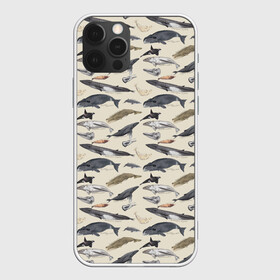 Чехол для iPhone 12 Pro с принтом Whales pattern в Новосибирске, силикон | область печати: задняя сторона чехла, без боковых панелей | Тематика изображения на принте: whale | акула | горбач | касатка | кашалот | кит | море | океан | рыбы | синий кит